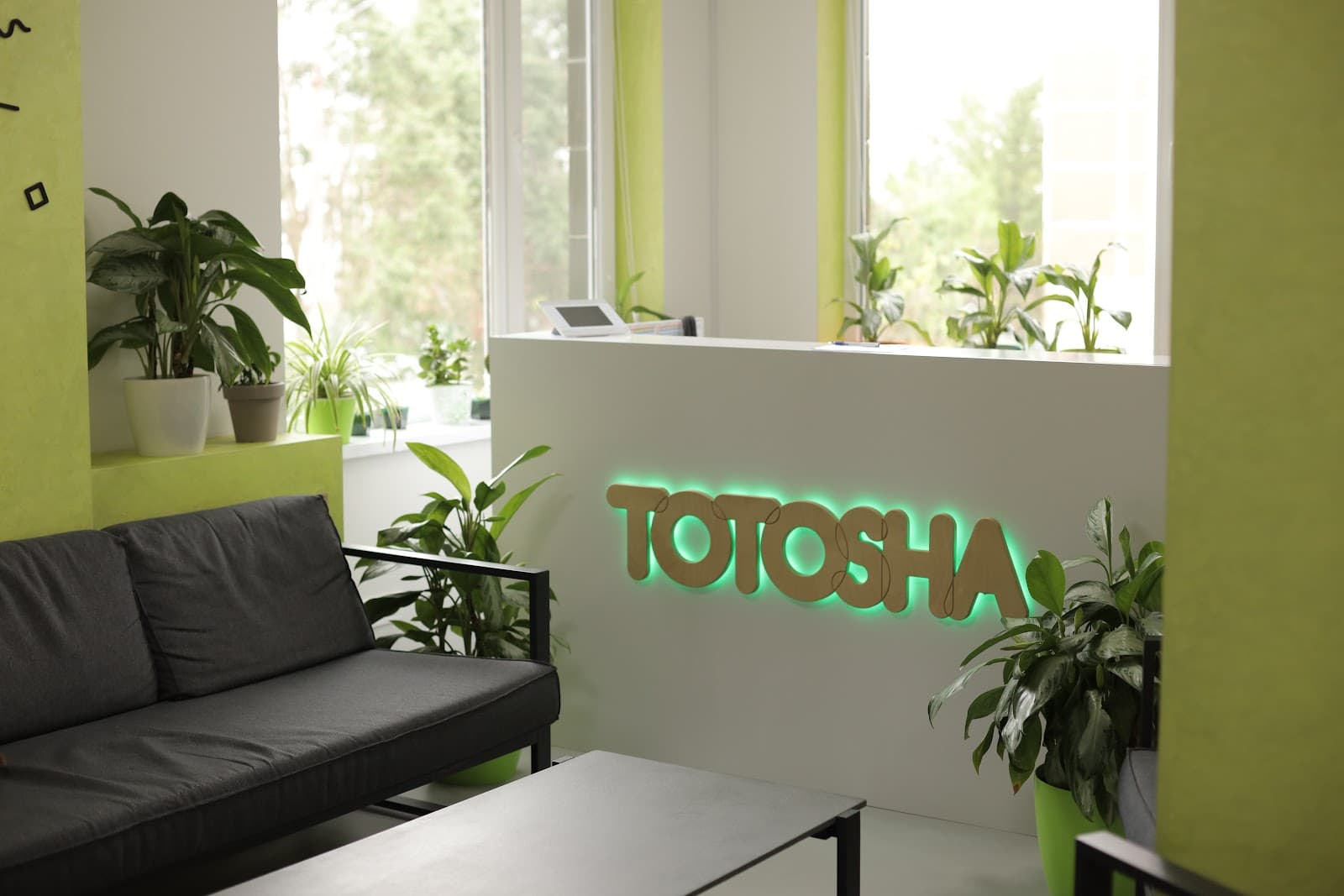 Totosha High Minds School — мініатюра 4