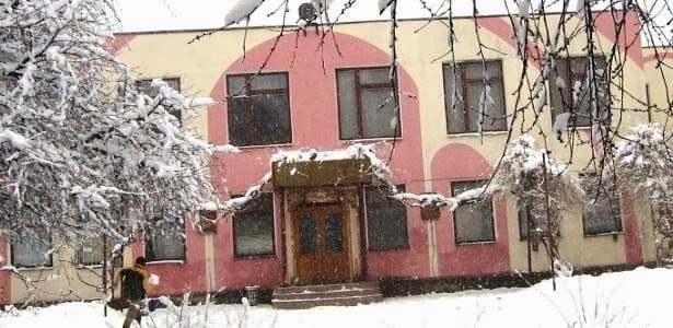 Вальдорфський ліцей «Ступені» — мініатюра 5